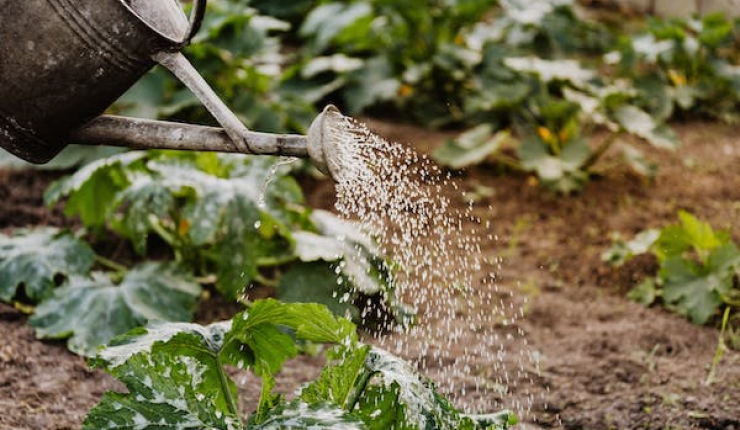 VERKOCHT - bedrijfsactiviteit beregening en irrigatie van tuinen - Zuiden provincie Antwerpen en Vlaams- Brabant  - OKT codenaam IRRIGATIE1