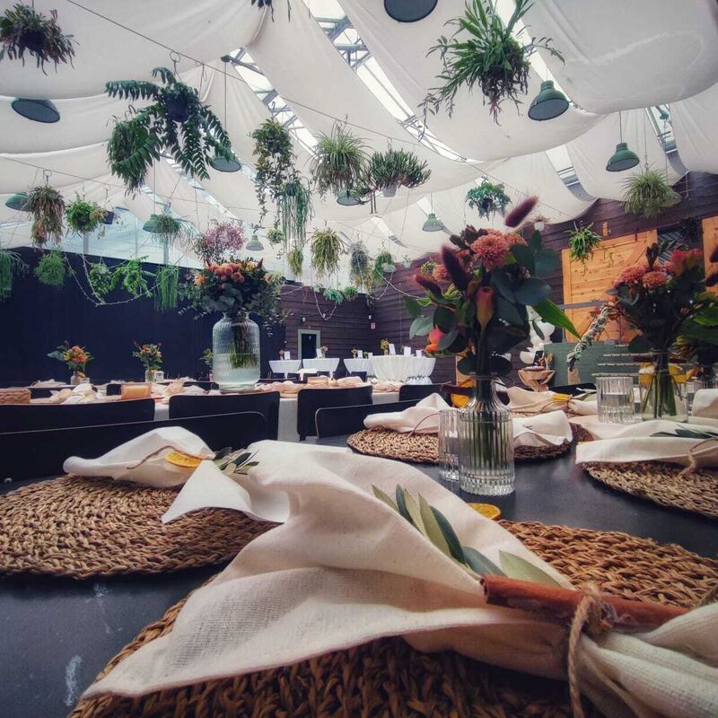 4d7b0ab0 38f5 4262 a171 ea4673a7620d 2025 11 05 121254 xhea