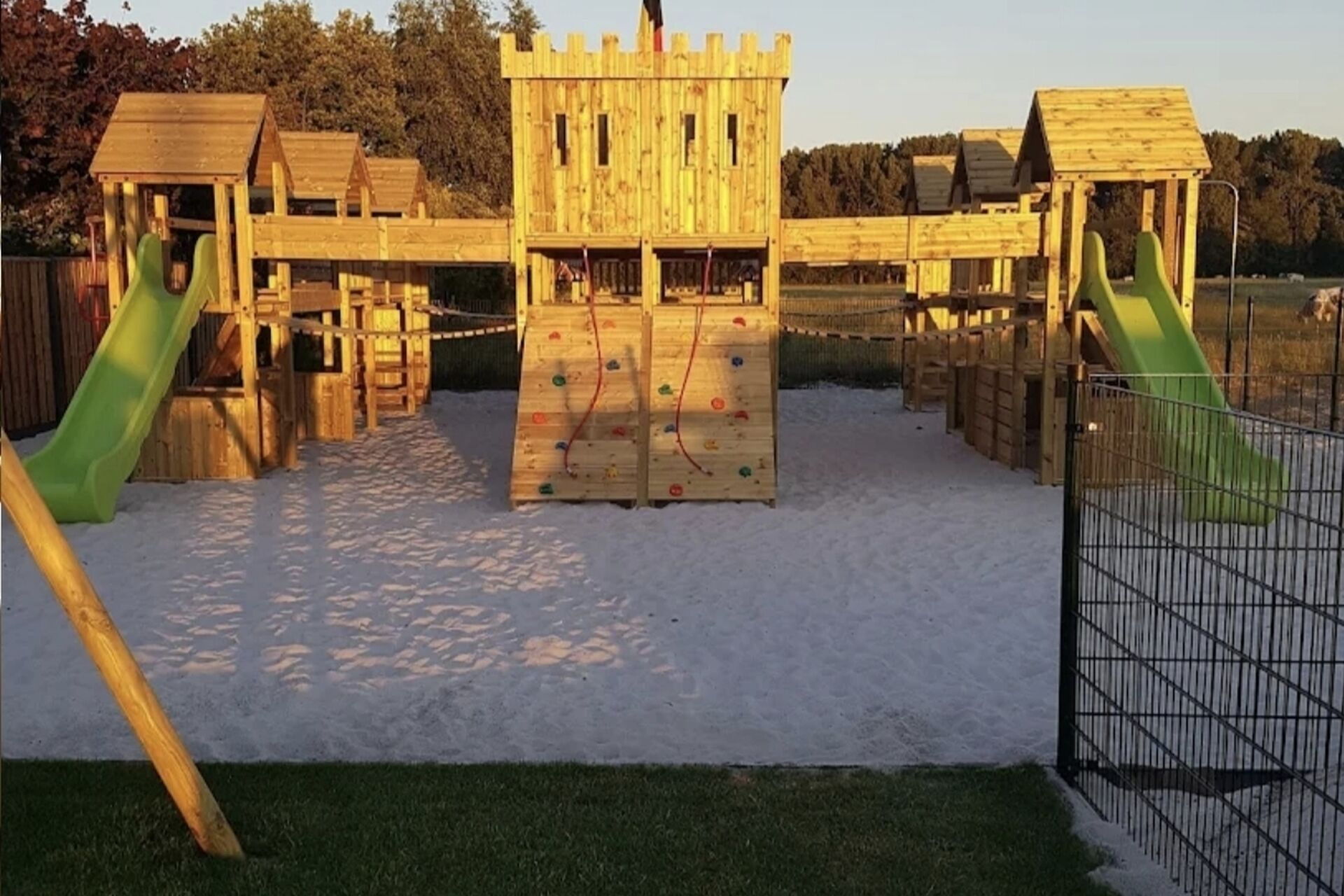 IMG 20251004 155044 2025 11 05 142612 wgeb 2025 11 07 081315 cjub