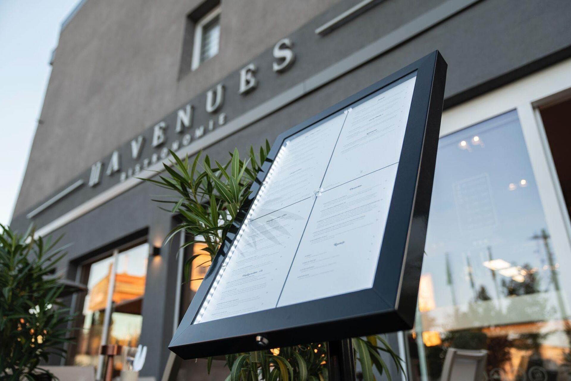 Whats App Image 2025 10 29 at 20 16 50 2025 11 13 221616 dado 2025 11 13 222037 lera 2025 11 13 223047 zjnv