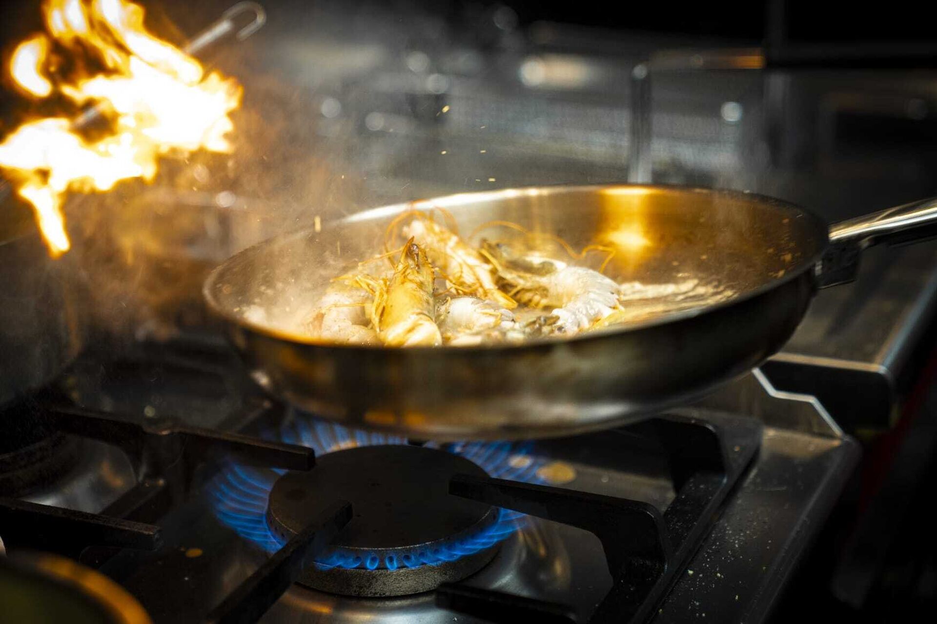 Whats App Image 2025 10 09 at 21 42 02 1 2025 11 13 221615 neps 2025 11 13 222037 hvvq 2025 11 13 223047 wedh 2025 11 13 223158 sgsy 2025 11 14 081629 zzft