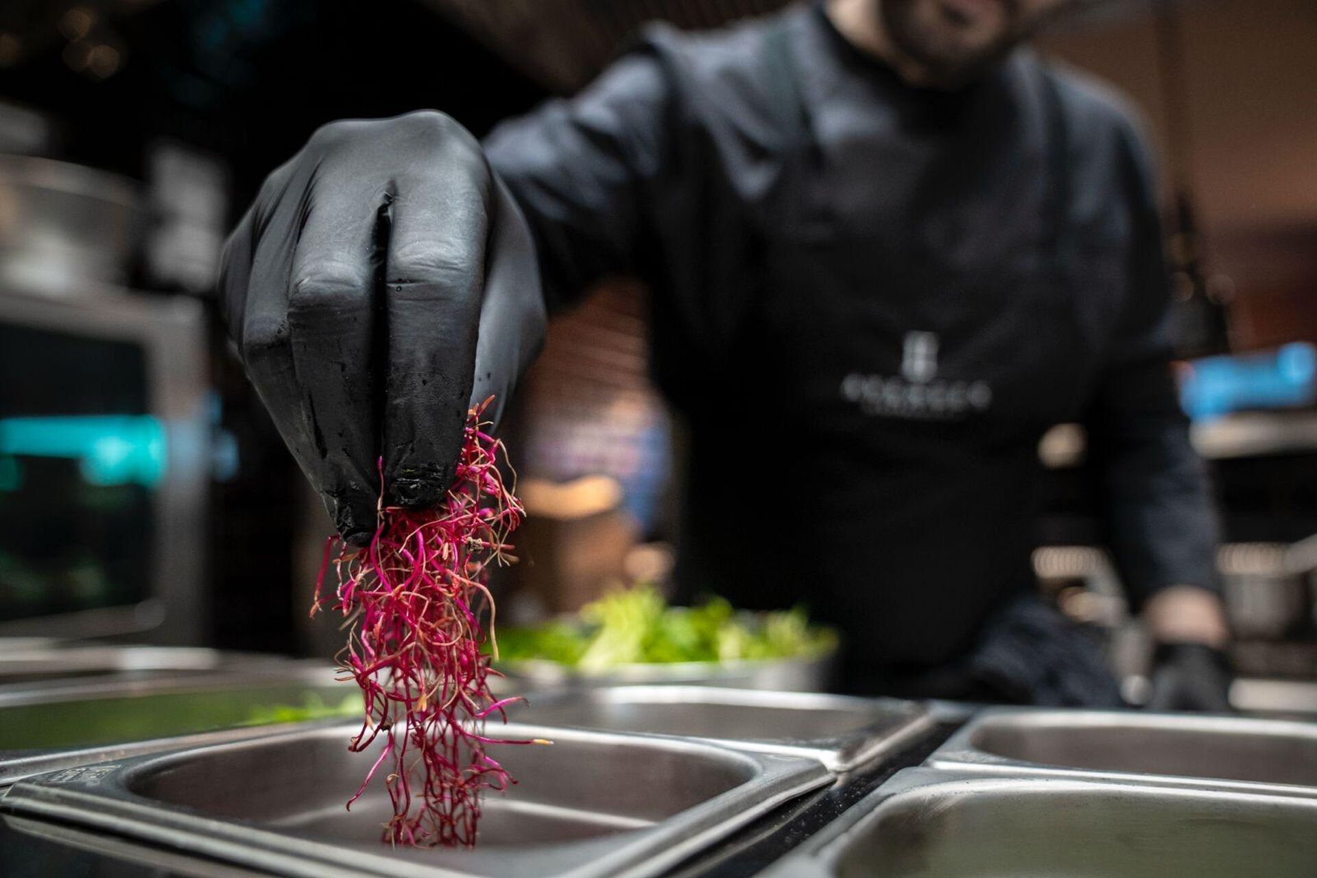 Whats App Image 2025 10 29 at 20 16 50 2 2025 11 13 221615 xqlk 2025 11 13 222037 egtc 2025 11 13 223047 bnwf 2025 11 13 223159 dufb 2025 11 14 081629 izse