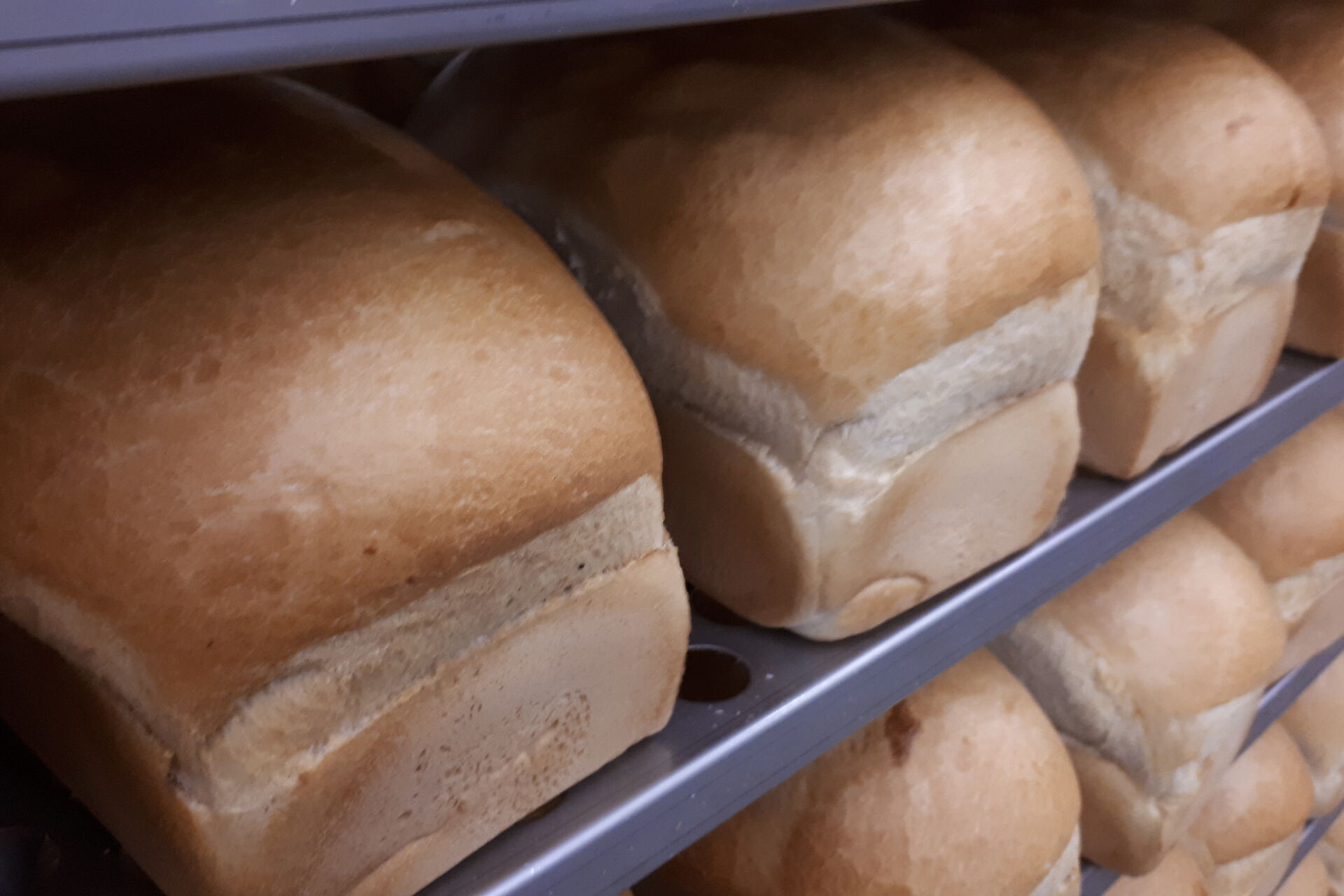 20170304 013139 2025 11 20 141813 maad