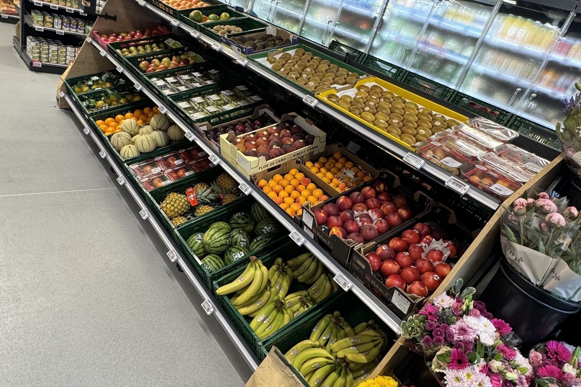 IMG 4466 2025 11 25 133311 nhpw 2025 12 02 061536 pxrp