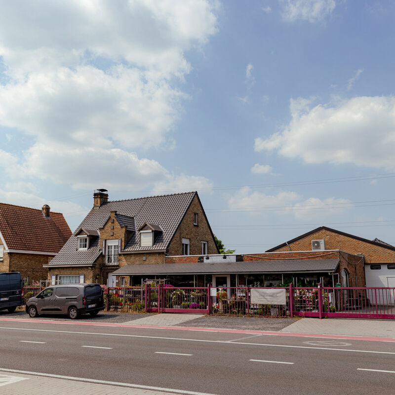 1 2025 12 11 101906 xxny