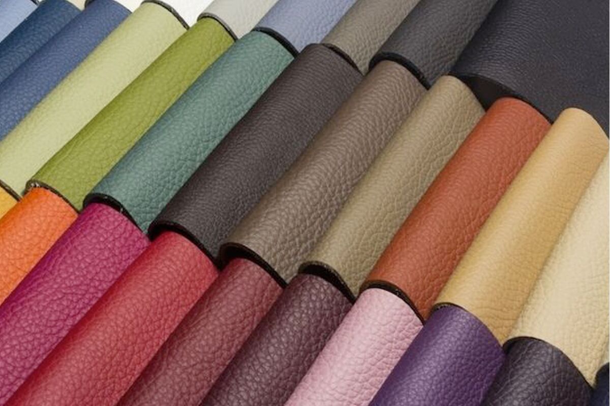 Cuirs couleurs 2025 12 11 130837 muul