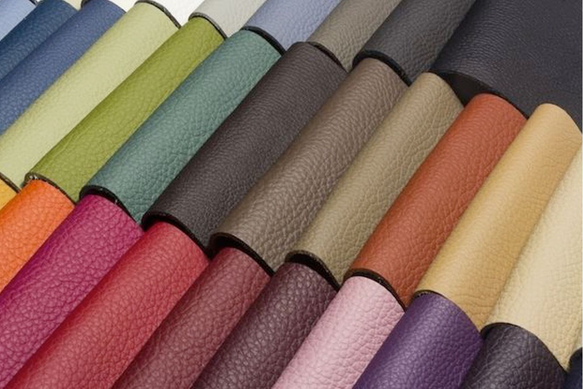 Cuirs couleurs 2025 12 11 130837 muul