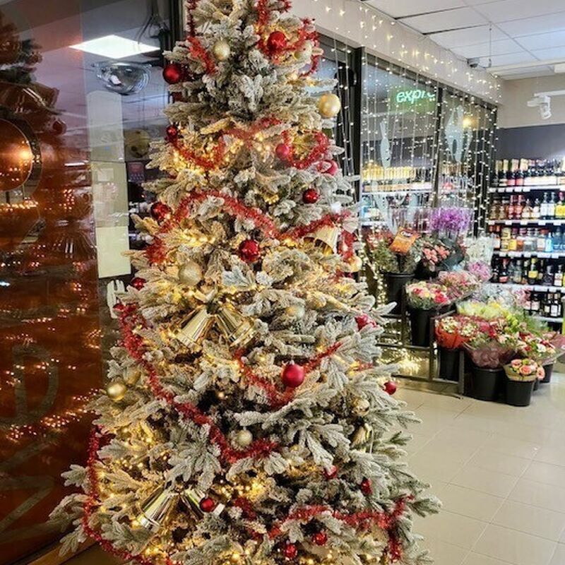 08ce03c368b83158c5e72e602fa69cd6 2025 10 28 094213 wmvp 2025 10 28 094315 oyun