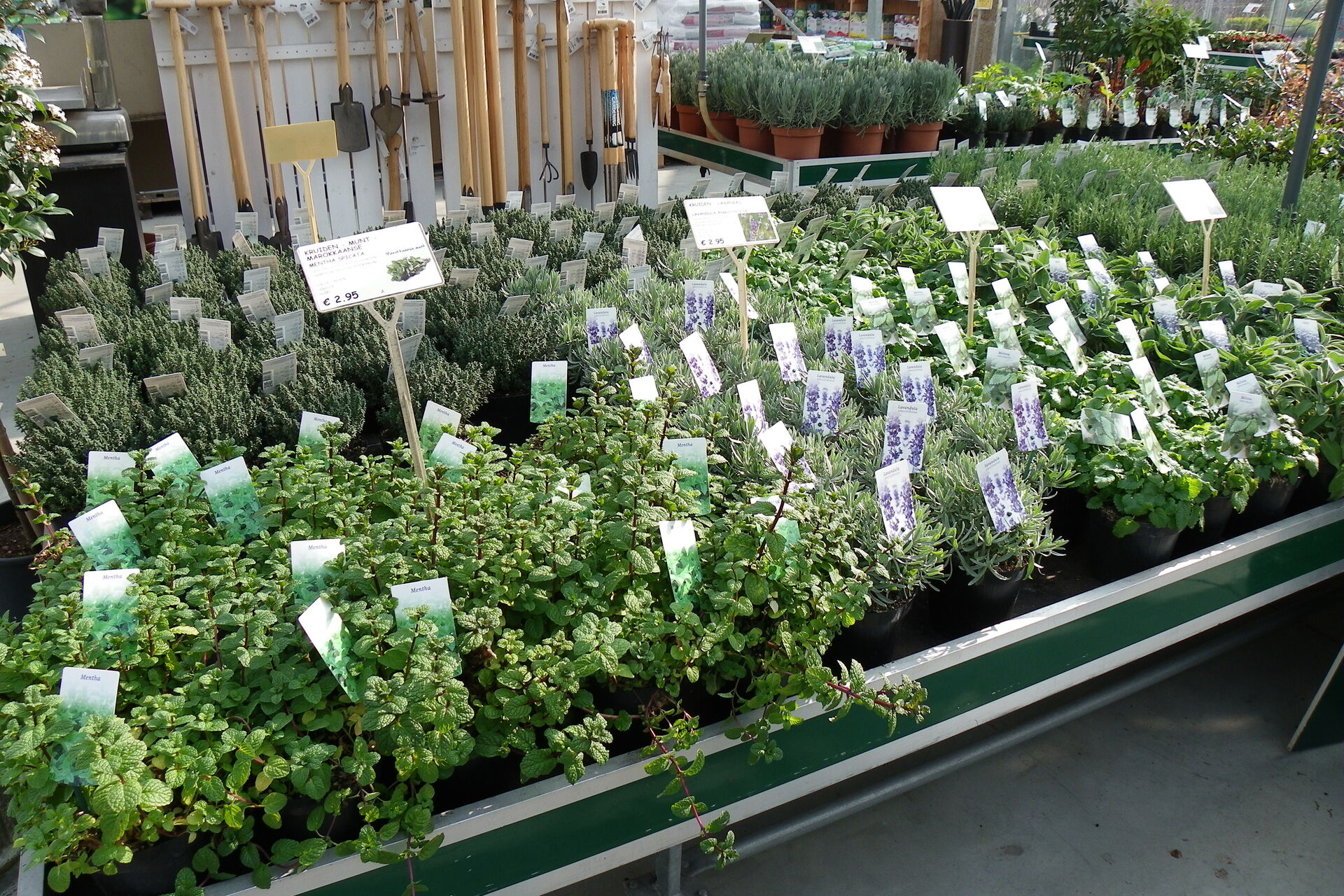 kruiden-maart-15-003