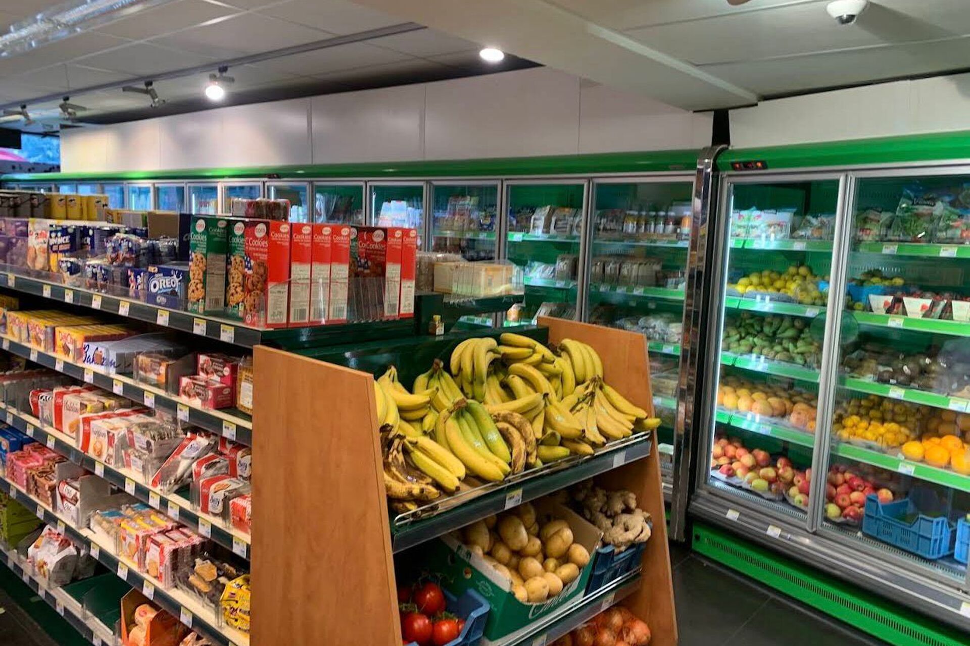 WhatsApp Image 2026-01-08 at 19.56.49