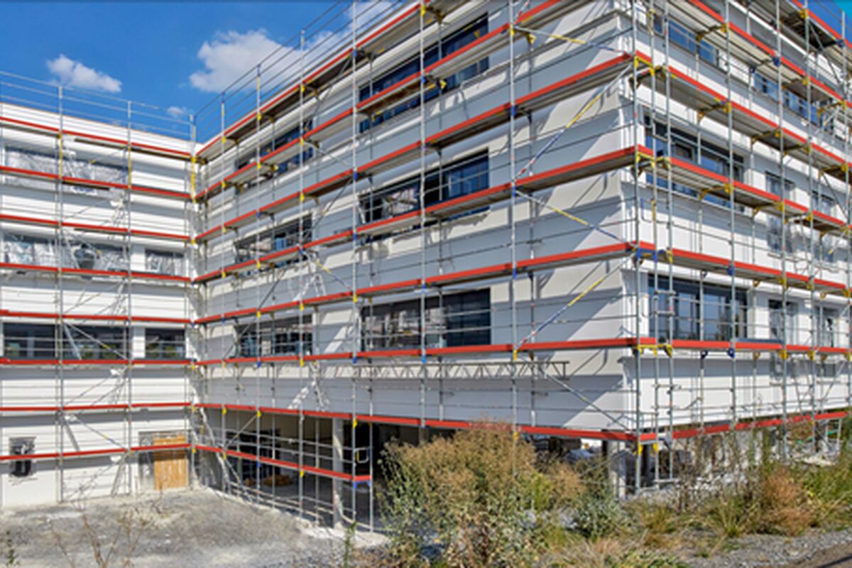 8980edc88771c3beab994795d9367f0d_2026-01-09-105826_puky