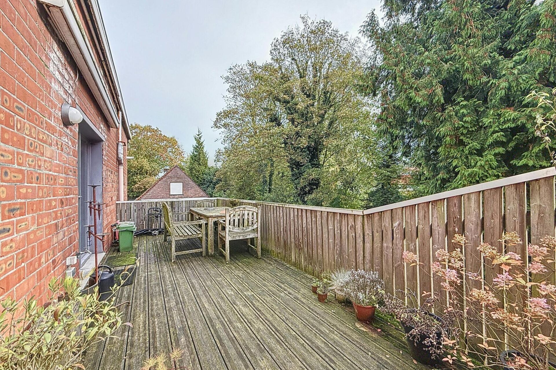 image2756112_2025-09-18-103006_octa