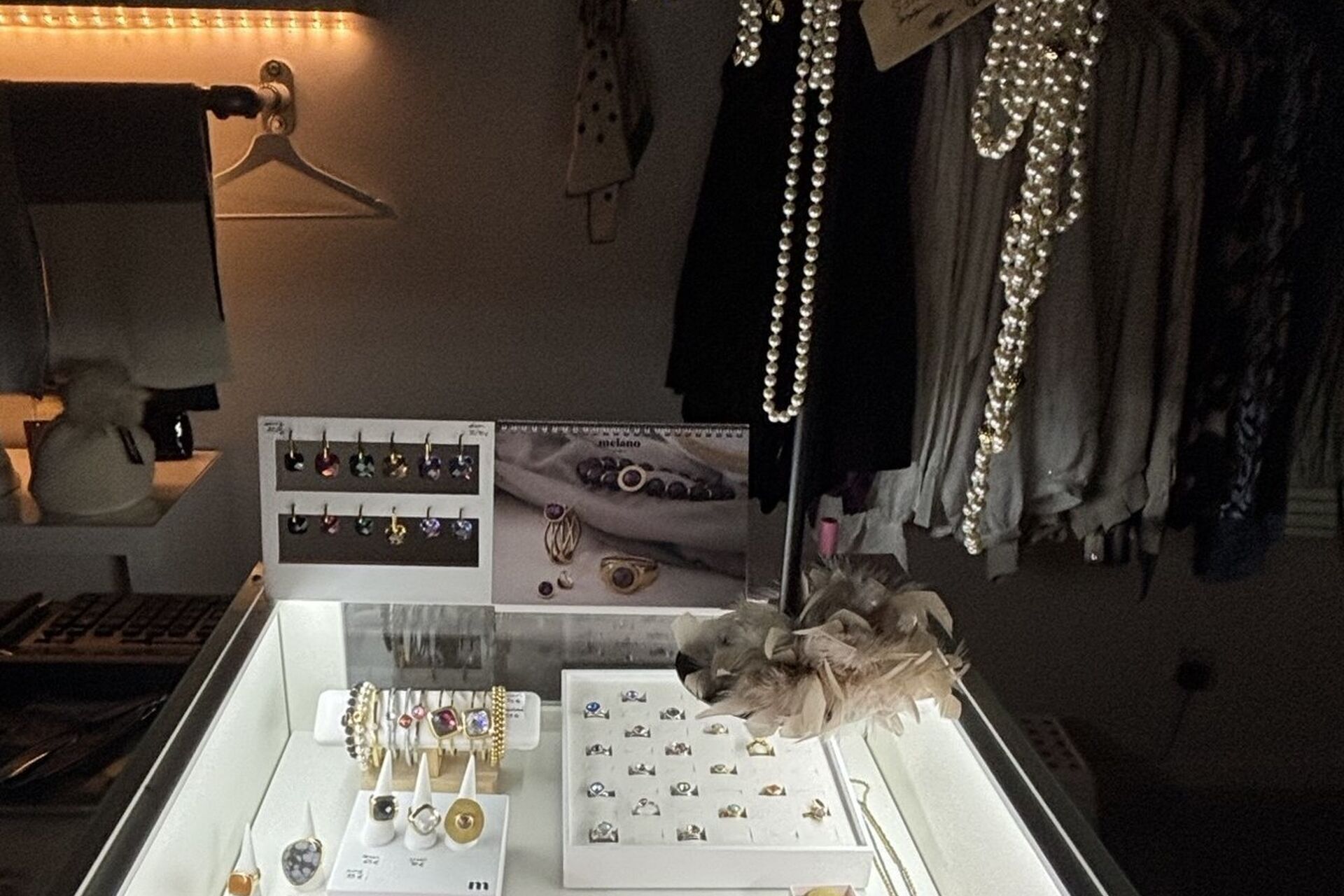 IMG_0523_2026-01-15-123121_ebht_2026-01-15-123240_ojdq