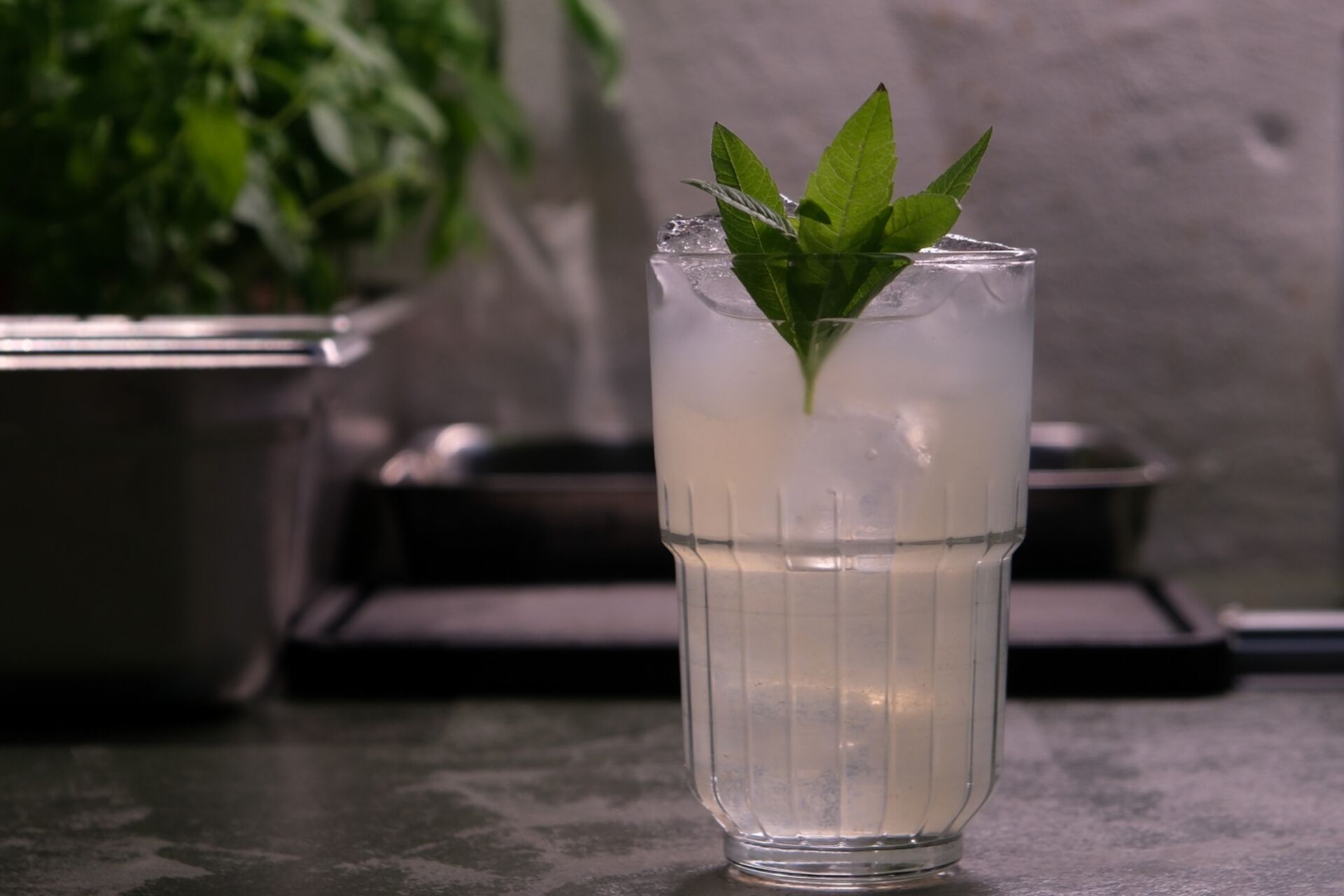 DSCF7809_2026-01-12-105301_auiv