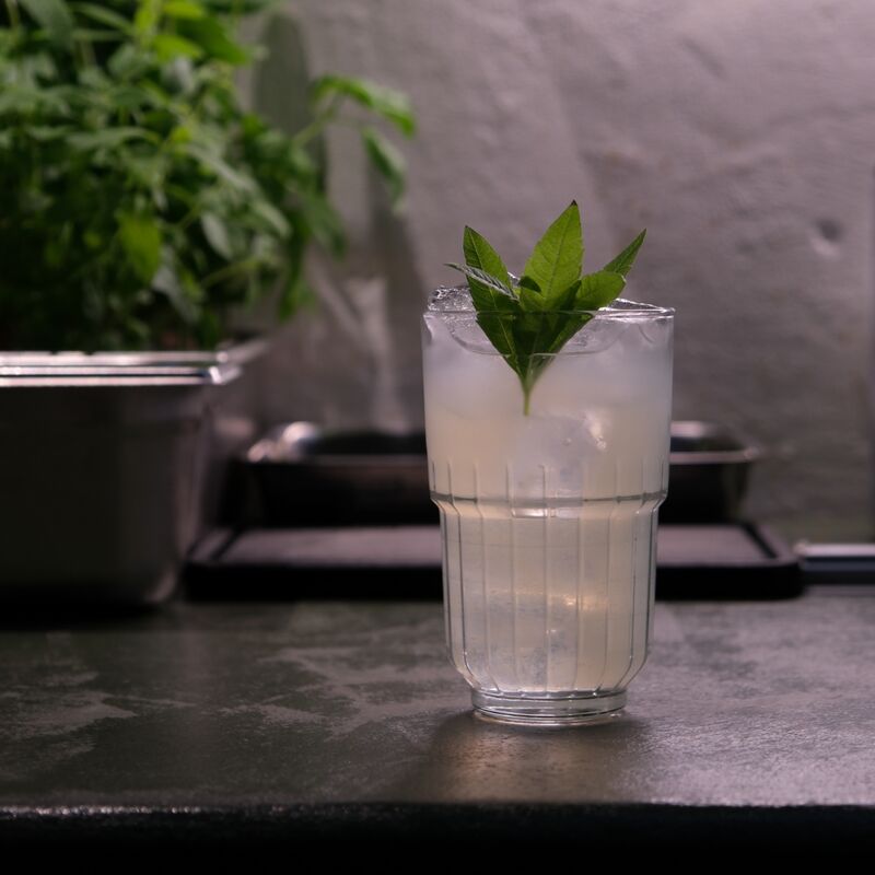 DSCF7809_2026-01-12-105301_auiv