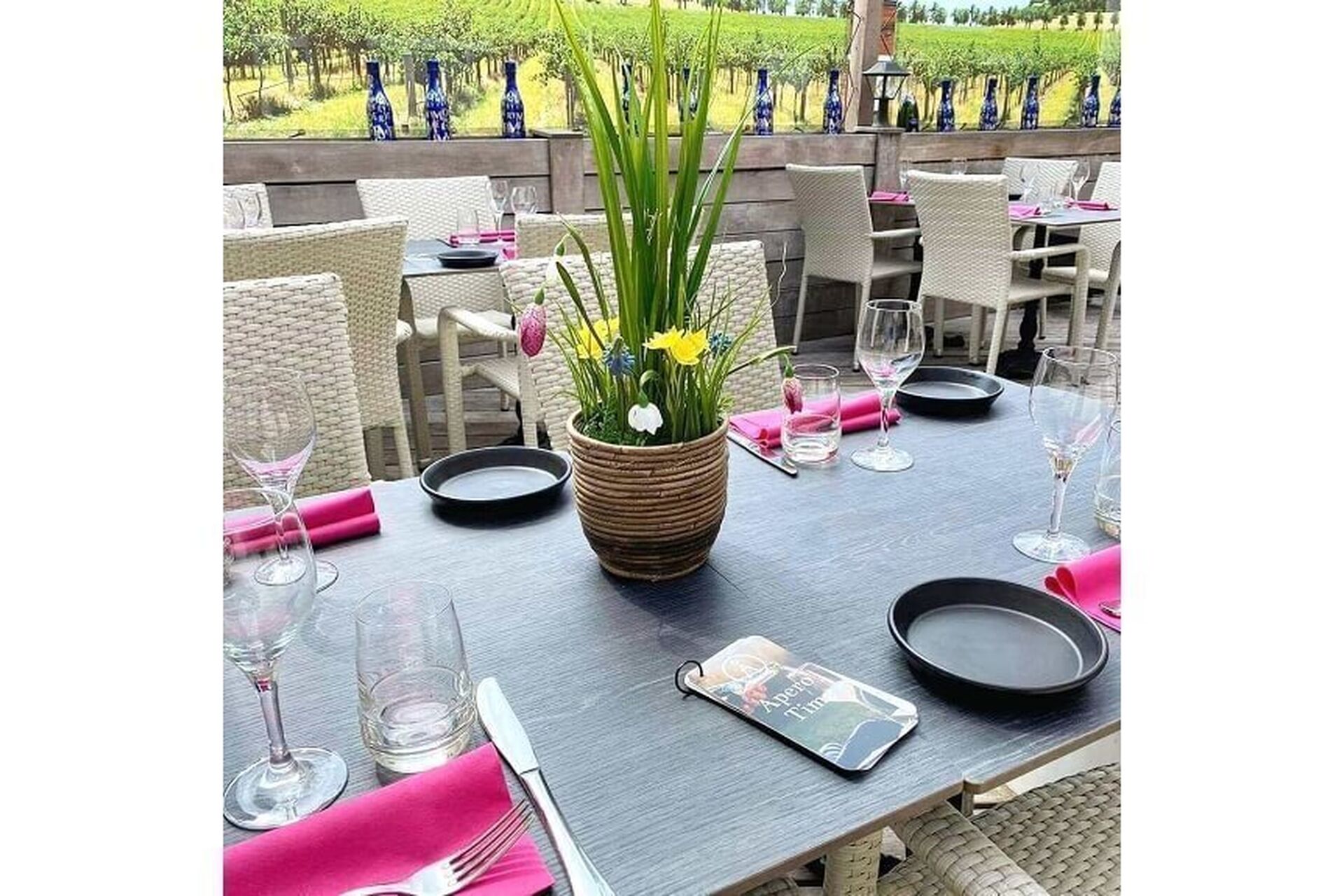 I016416_lg_2026-01-19-173125_fpgd_2026-01-19-173844_tfco_2026-01-19-173939_afdc