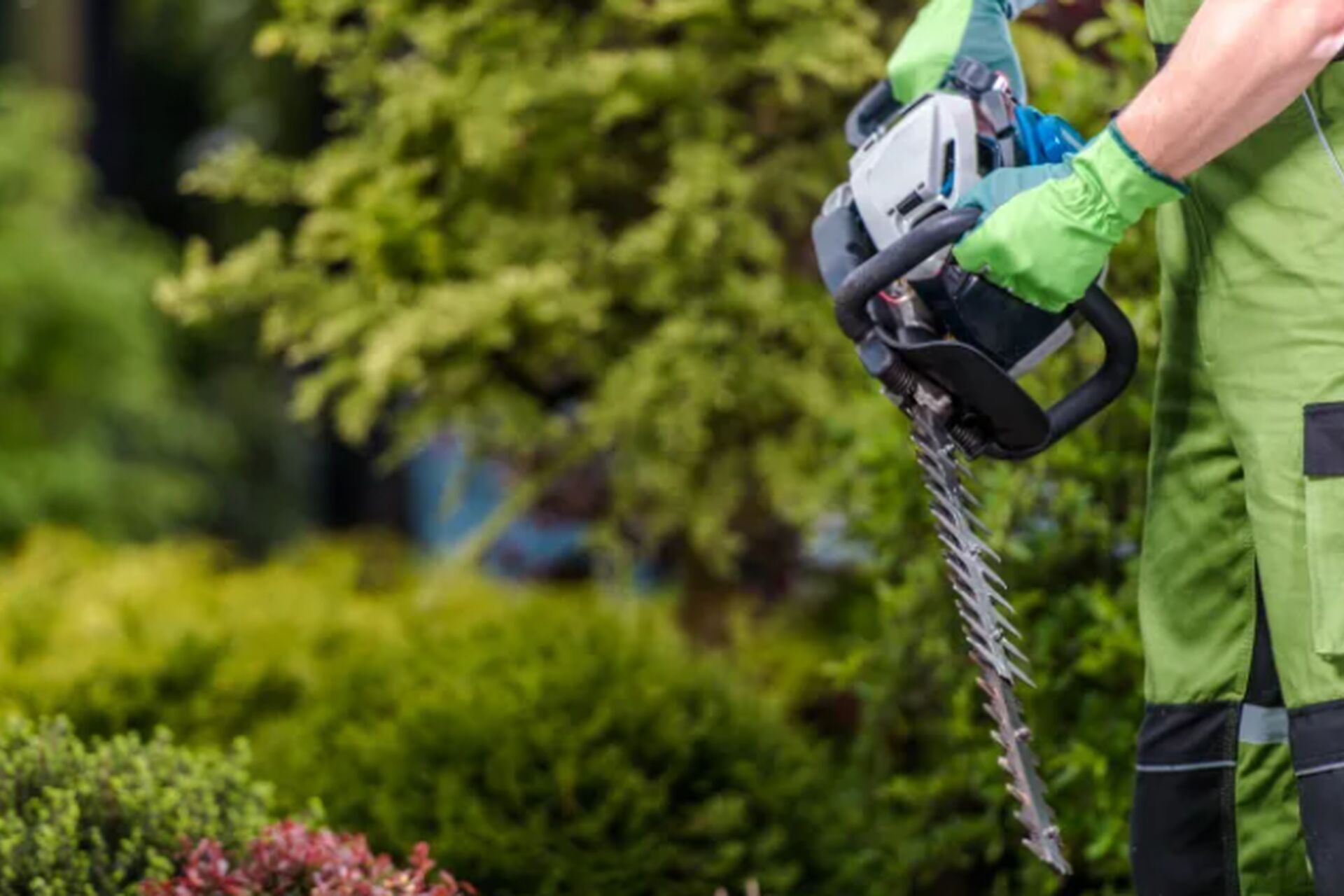 Schermafbeelding-2026-01-20-123750_2026-01-20-113941_smbw