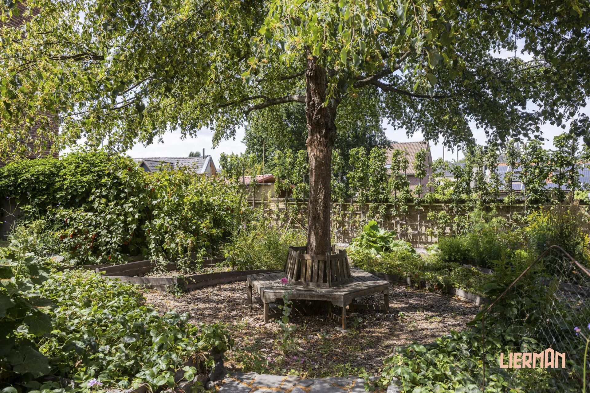 ImmoLierman_Plaats44-060_2026-01-22-151841_stpc