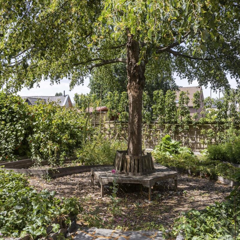 ImmoLierman_Plaats44-060_2026-01-22-151841_stpc