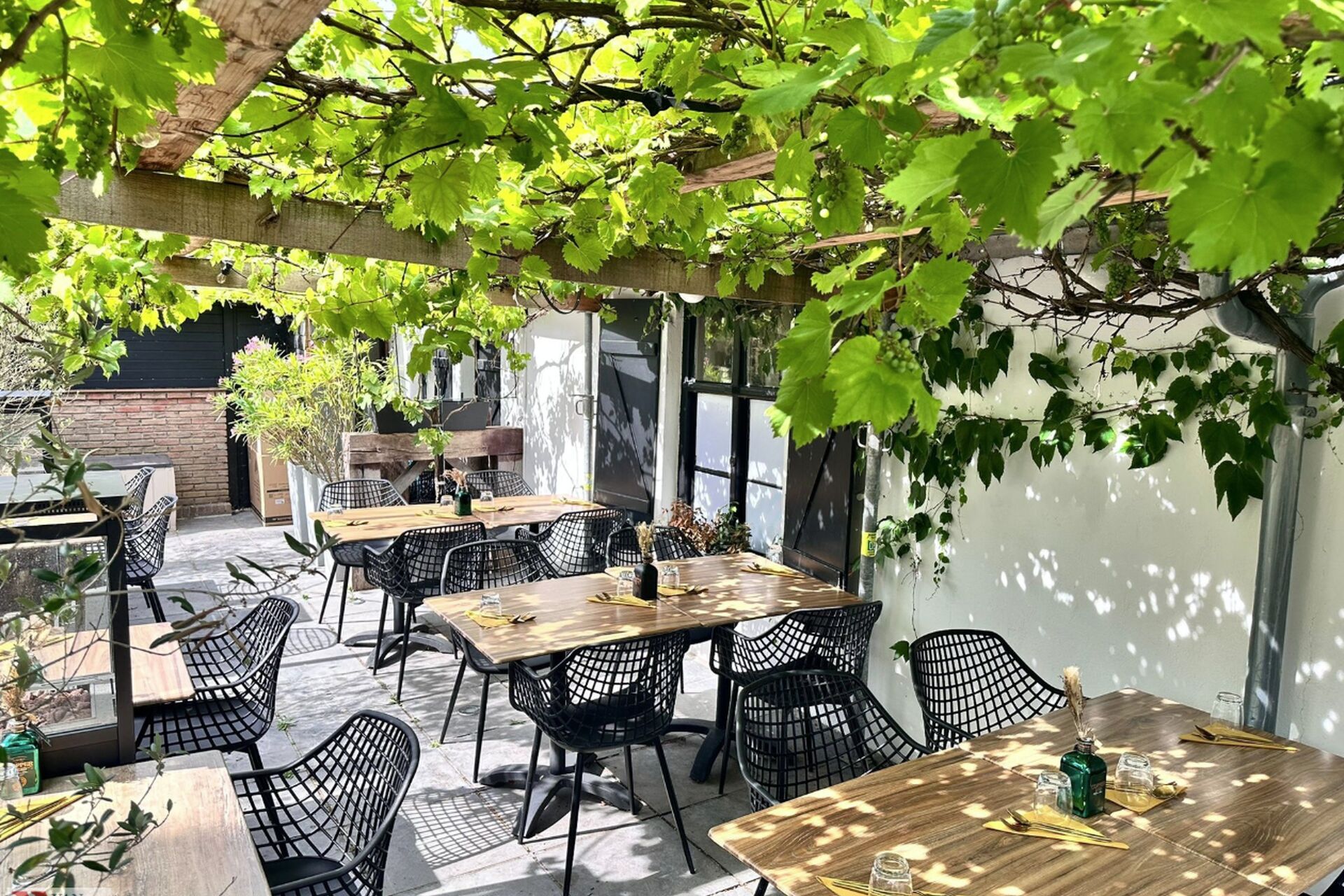 Schermafbeelding-2026-01-23-163459