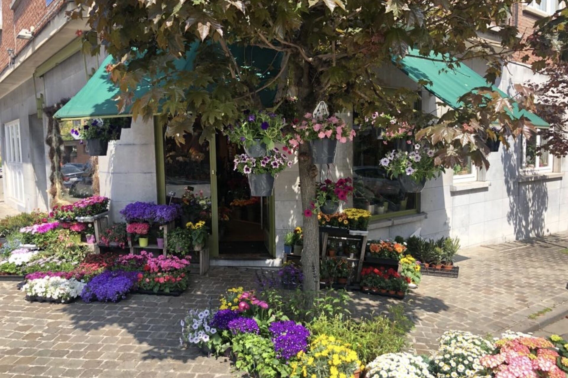 IMG_2715_2026-01-25-154758_fvco