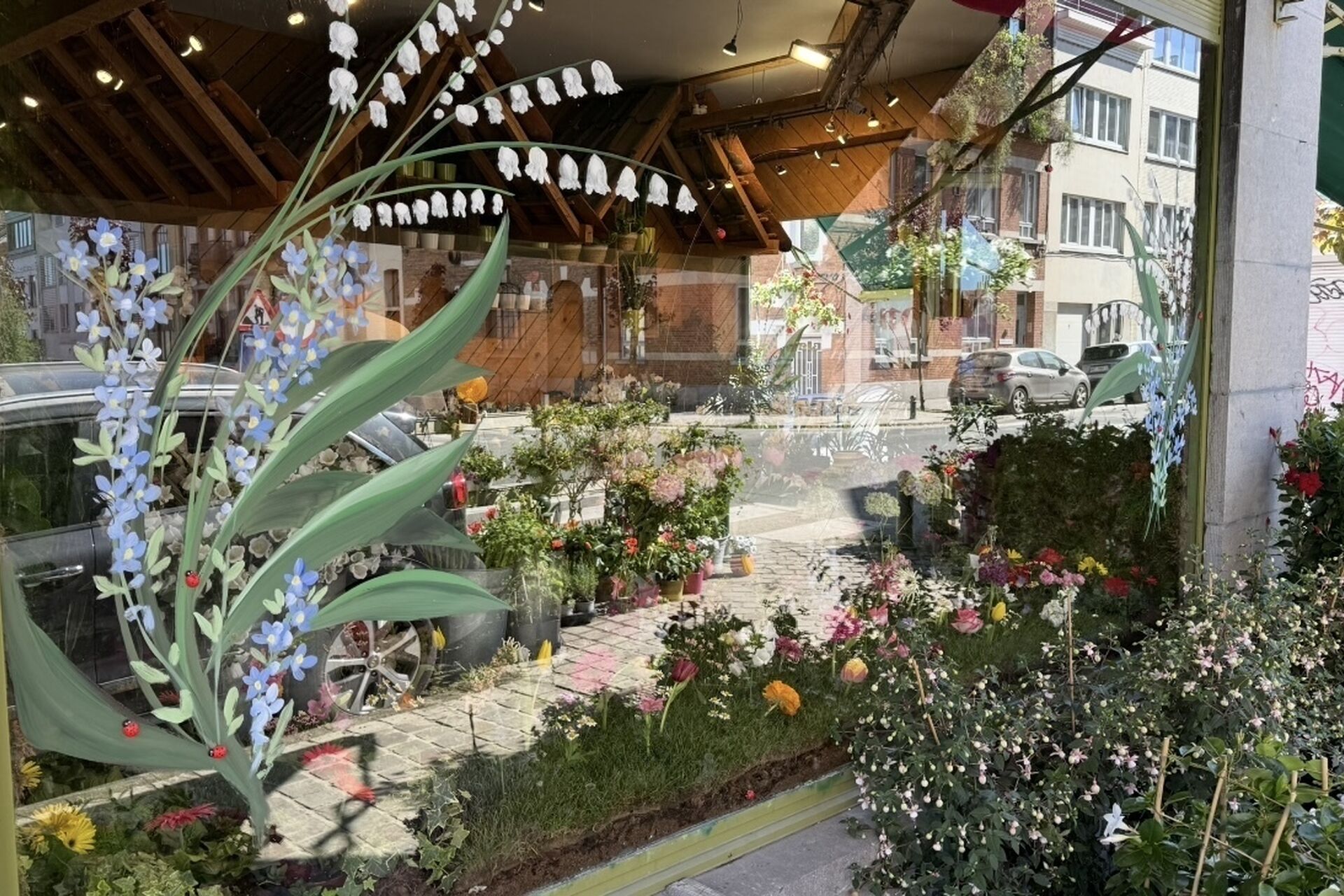 IMG_3551_2026-01-25-154758_iacl