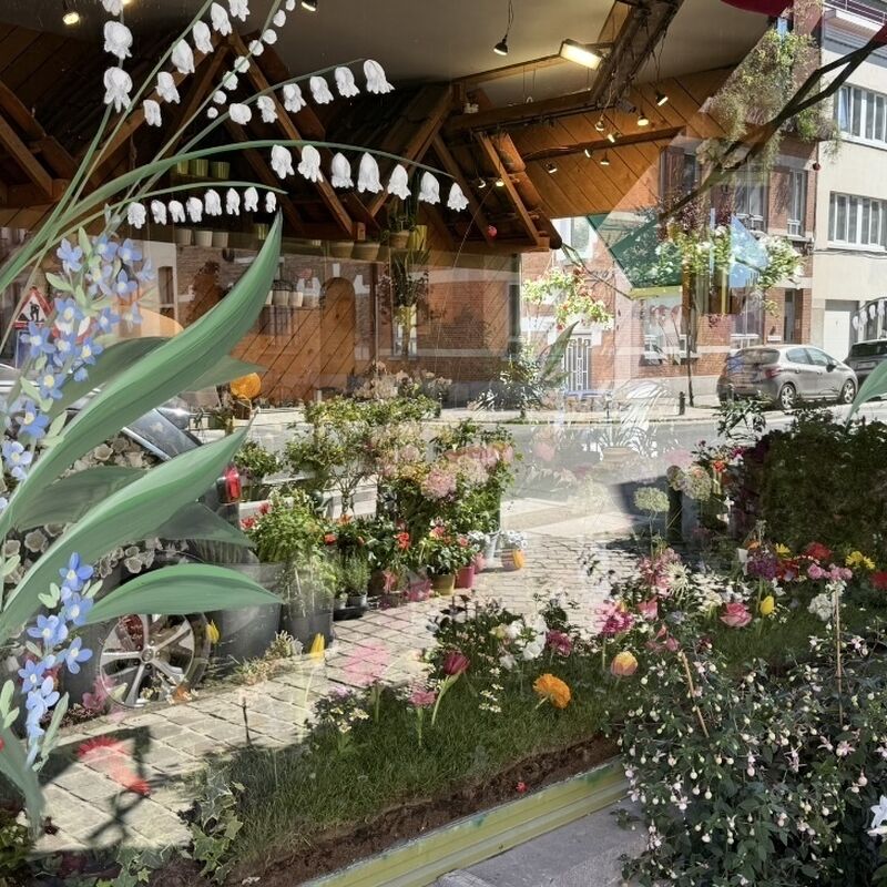 IMG_3551_2026-01-25-154758_iacl