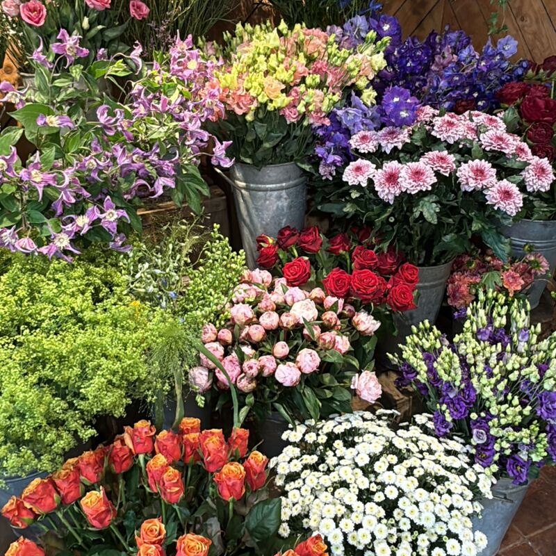 IMG_3549_2026-01-25-154758_fezk