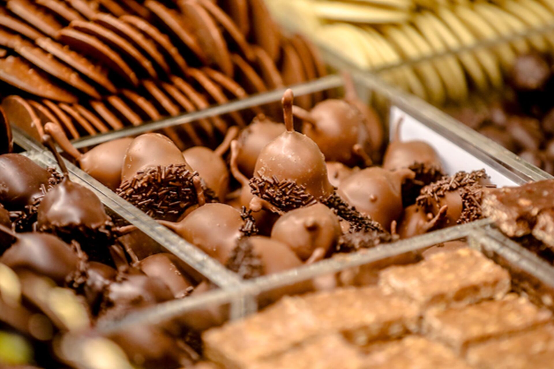 Picture1_2026-01-28-083249_qgsv