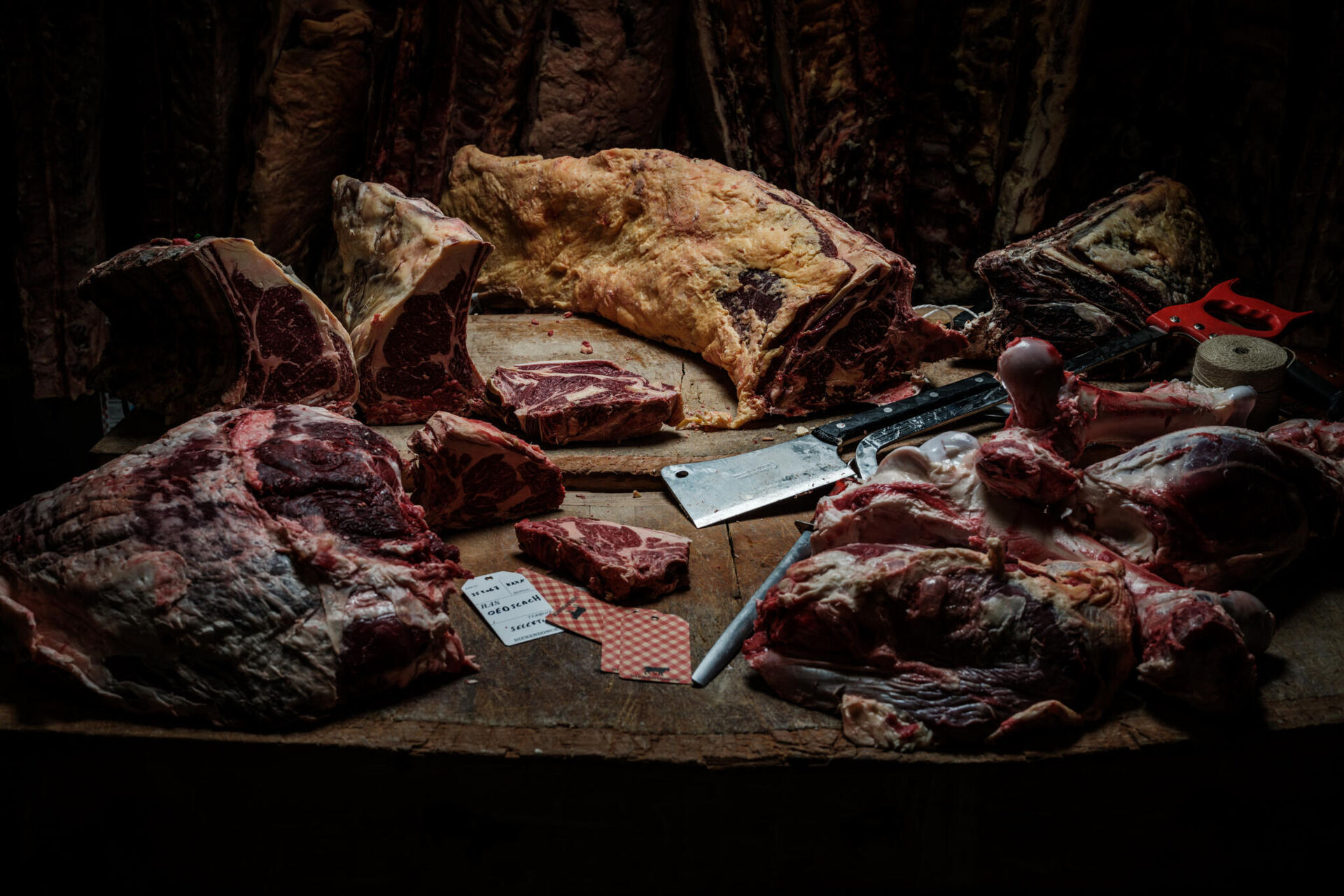 dierendocnk-Pieter-DHoop-164