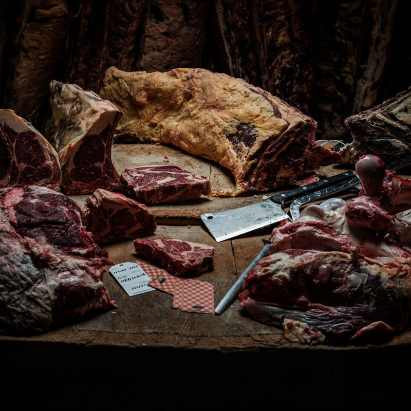 dierendocnk-Pieter-DHoop-164