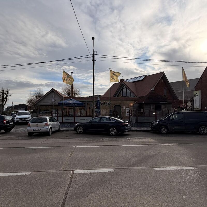 IMG_1403_2026-02-04-135136_dmqc_2026-02-04-135322_vxzp_2026-02-04-142148_kvbq