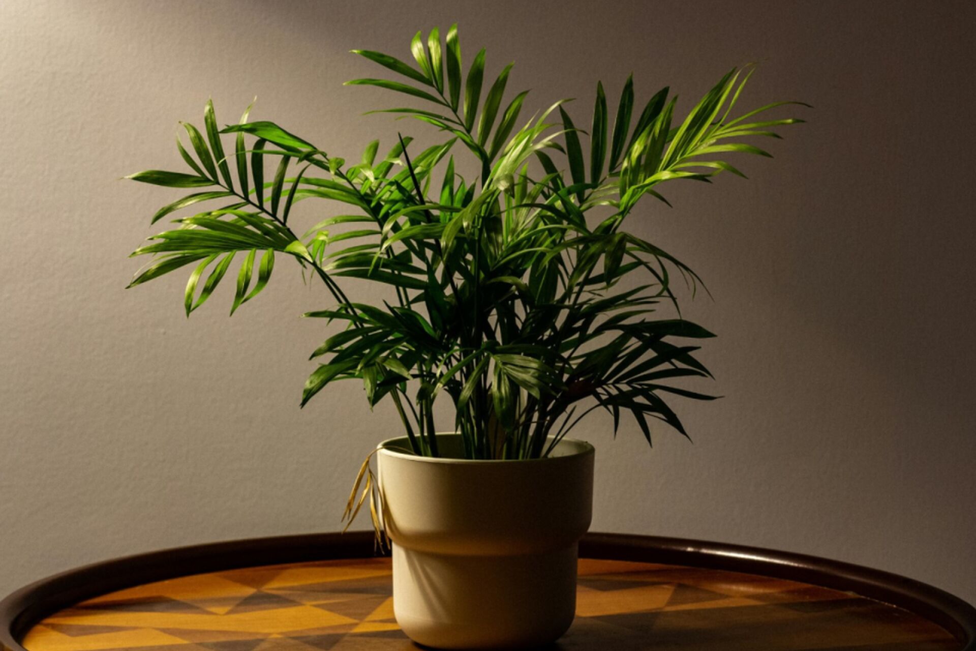 215a37a38aed7b2b1d2c93500f8568a9_2026-02-06-073716_dicj_2026-02-06-073816_gvgm_2026-02-06-073845_eveu