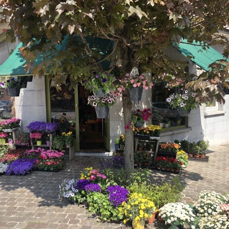 IMG_2715_2026-01-25-154758_fvco_2026-01-25-165449_xfvm