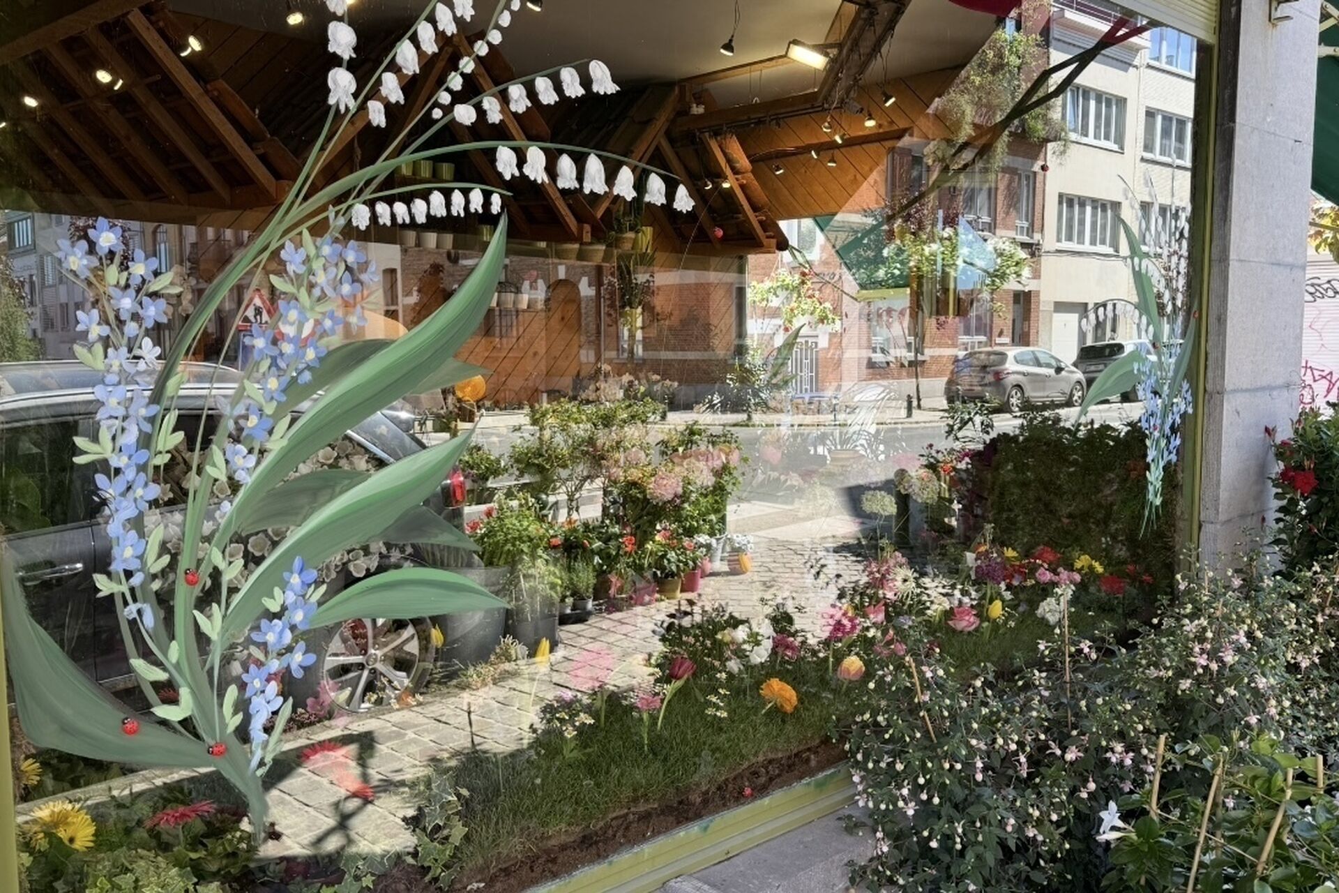 IMG_3551_2026-01-25-154758_iacl_2026-01-25-165449_glfo