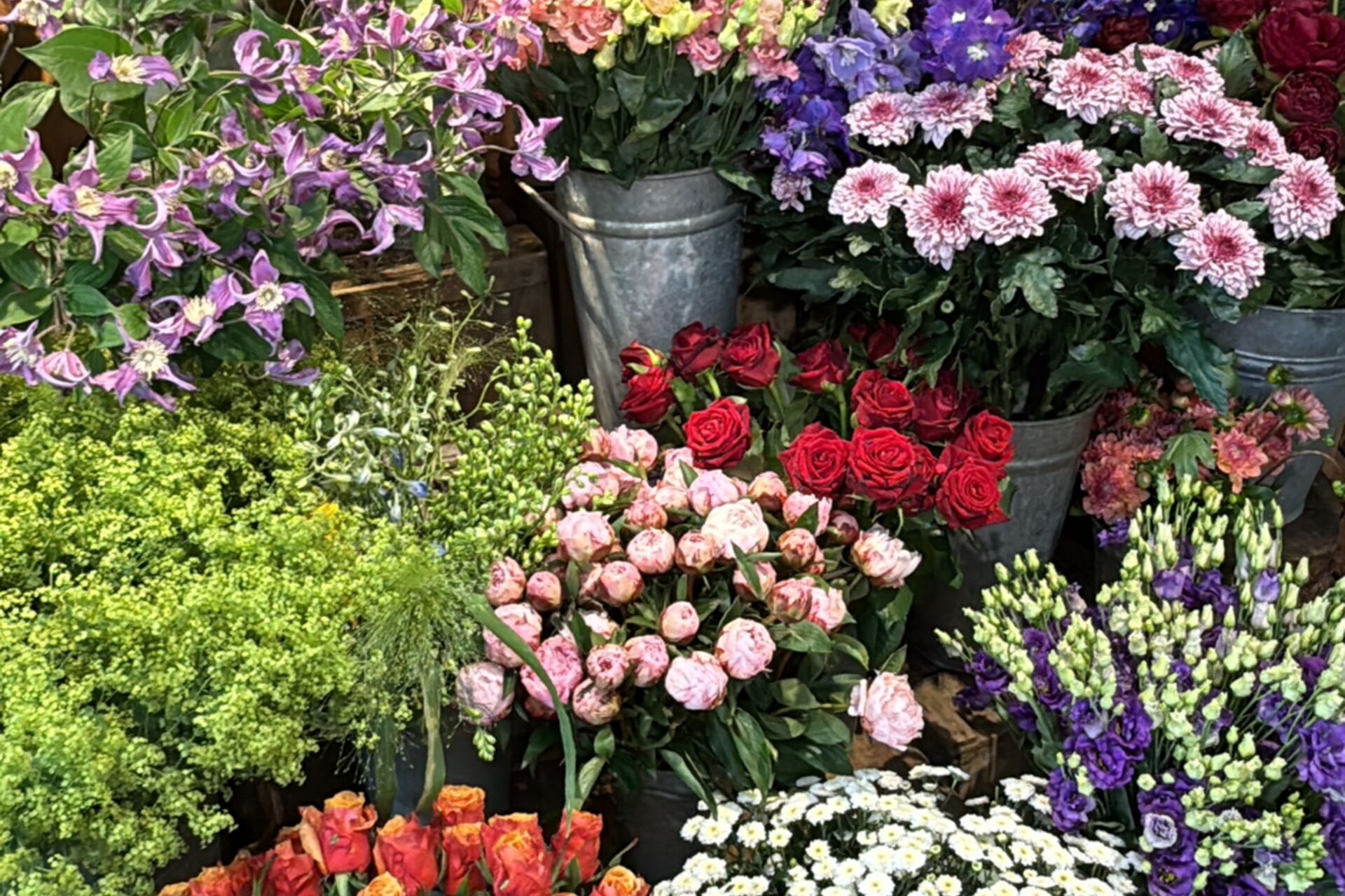 IMG_3549_2026-01-25-154758_fezk_2026-01-25-165449_jjov