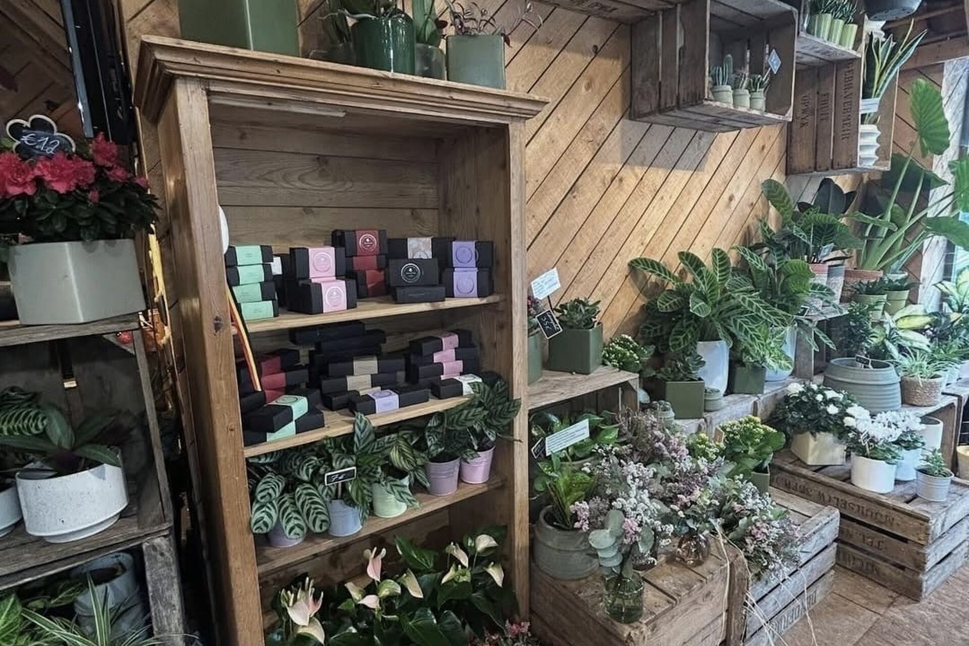 123daba8-b07e-4d71-b964-79569dffdc98_2026-01-25-154758_jquk_2026-01-25-165450_ldgx