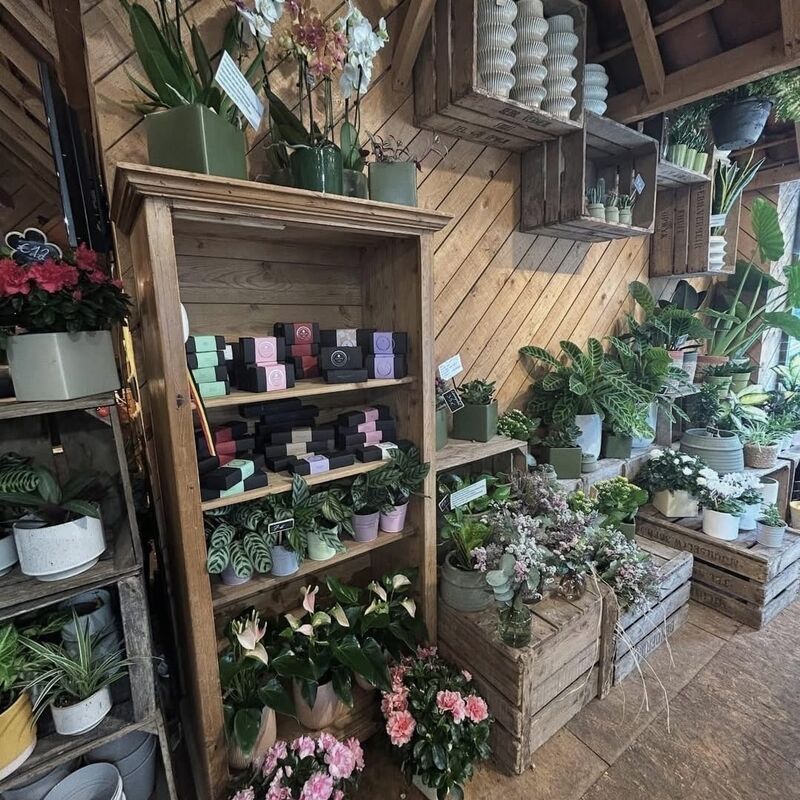 123daba8-b07e-4d71-b964-79569dffdc98_2026-01-25-154758_jquk_2026-01-25-165450_ldgx