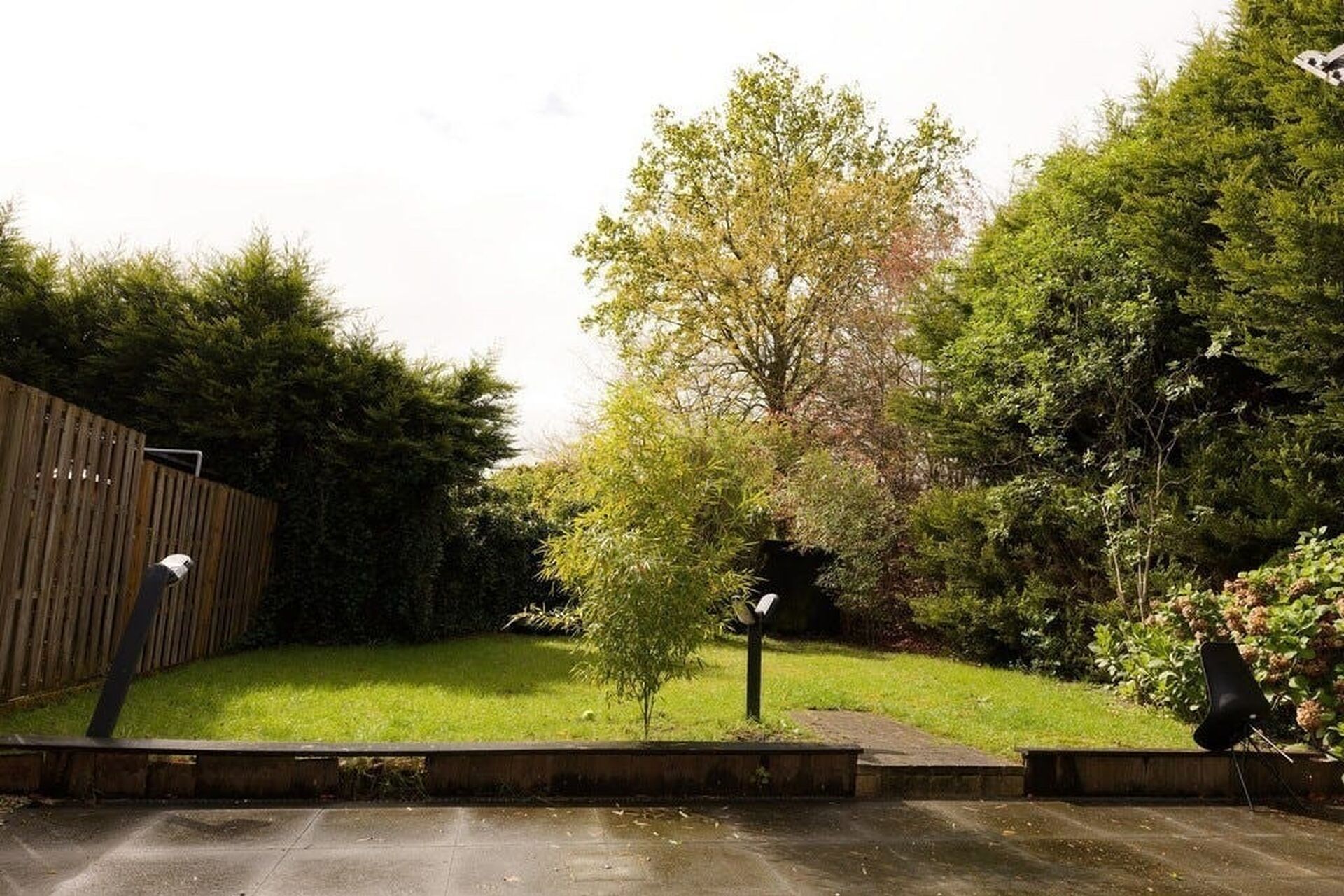 image2883201_2026-01-13-110840_nzyq_2026-02-13-145712_fhna