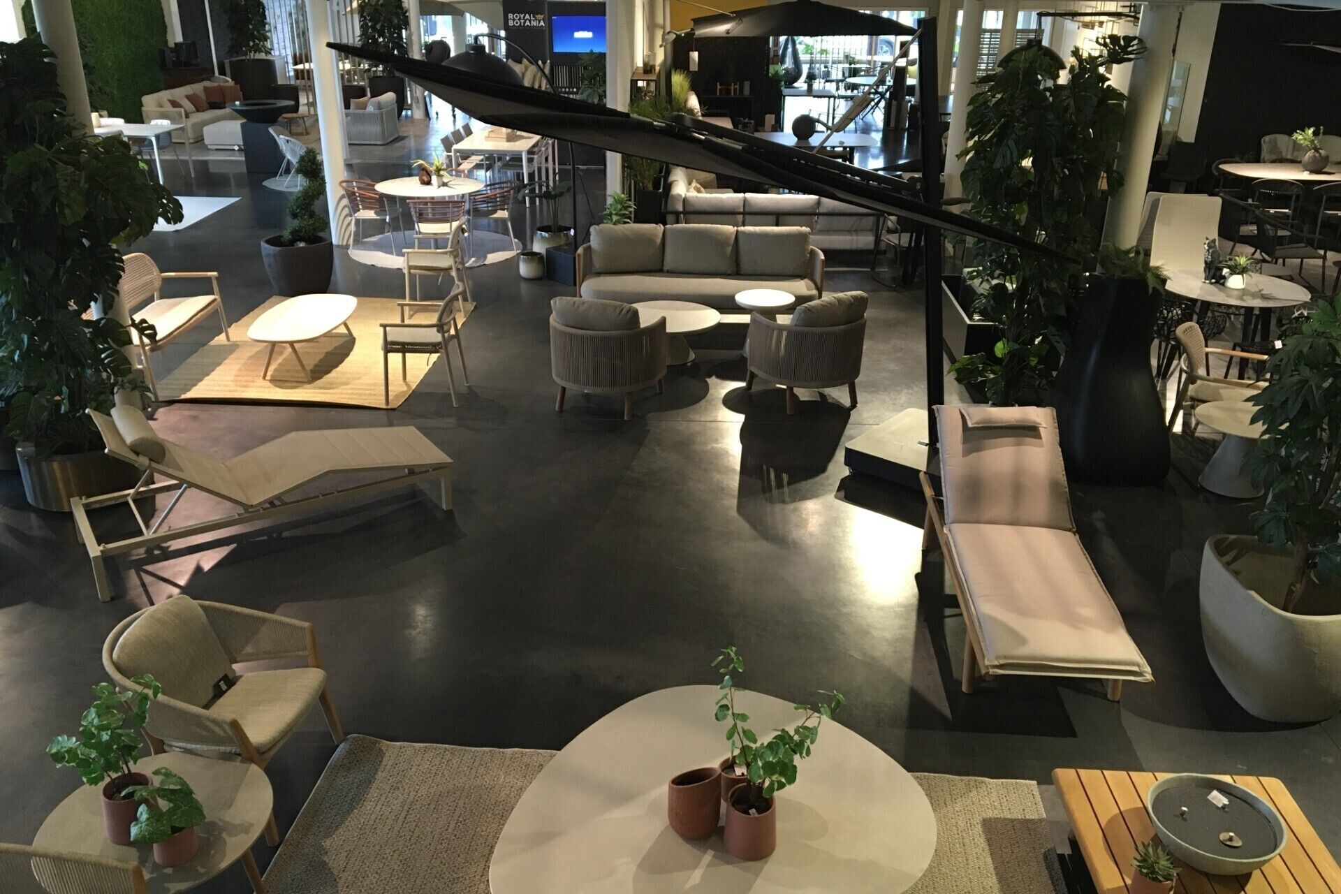 72cc5846-9508-4982-bc0d-f719ad1aecf8_2026-02-14-081415_aijn