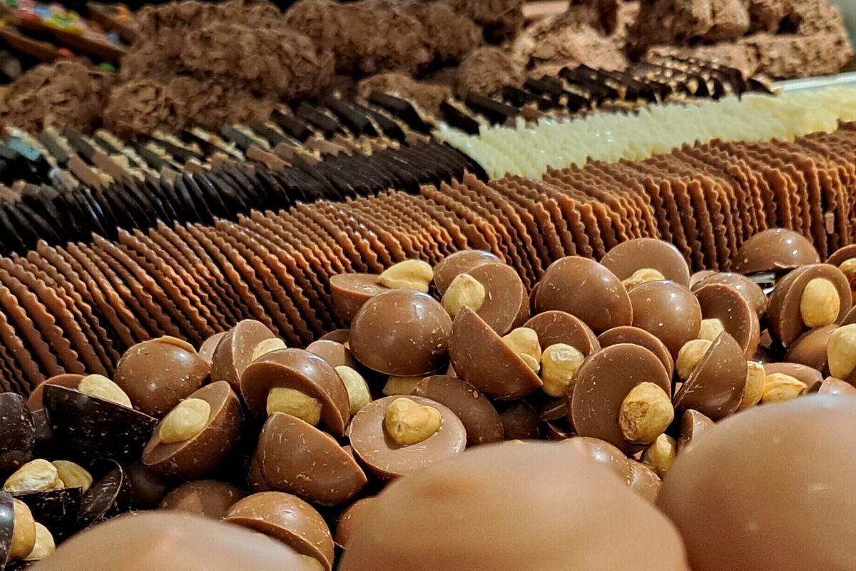 20230710_1104312_2026-02-08-101150_rzip_2026-02-08-102157_ojkc_2026-02-08-144033_poja_2026-02-14-102626_ptvl_2026-02-14-102734_mknz