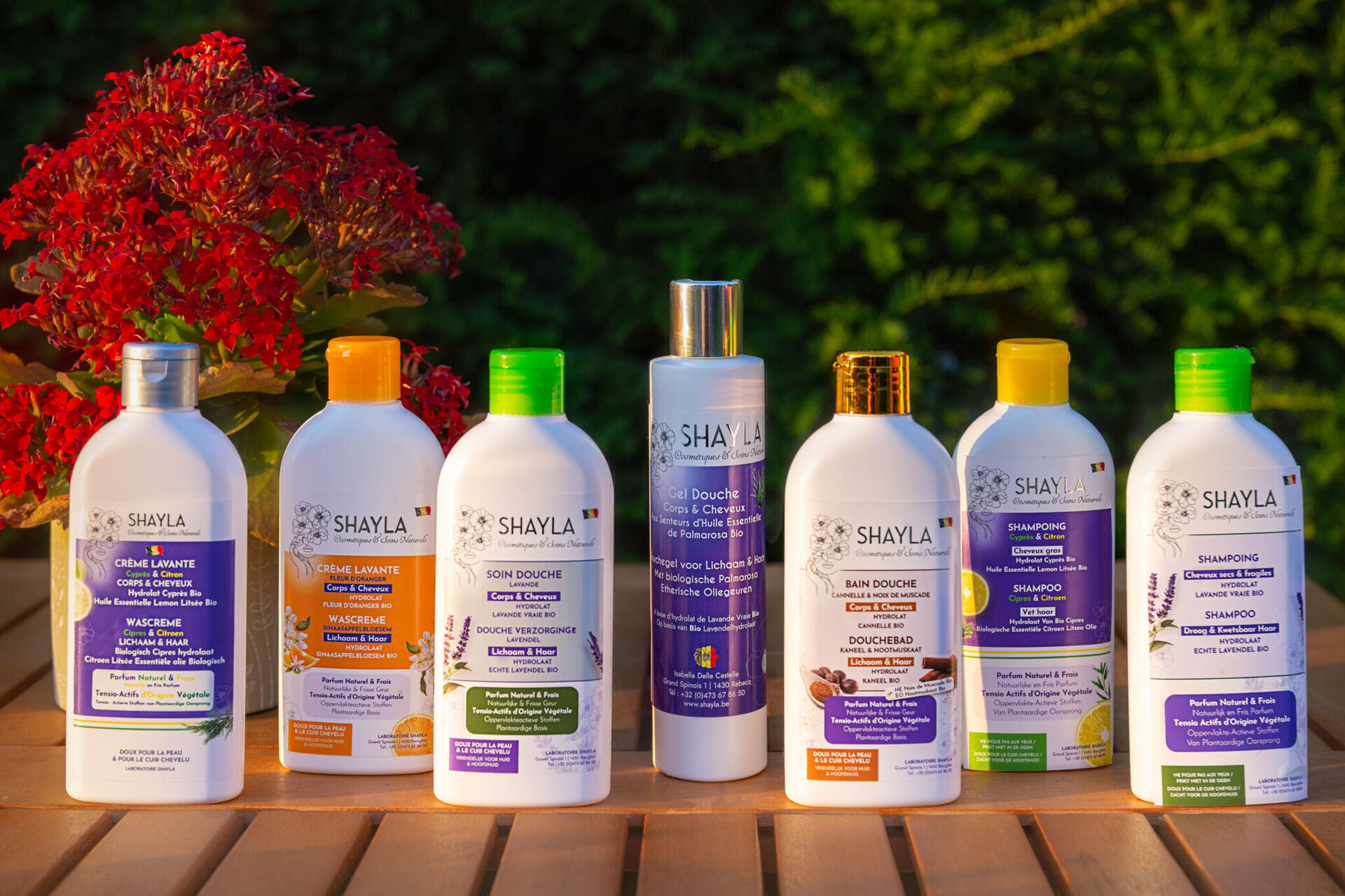 Shayla_Cos-9578-Modifier-12_2026-02-17-150203_kctn_2026-02-17-150843_ovdo_2026-02-17-151207_iutt_2026-02-17-151409_ydze_2026-02-17-151833_uwsw_2026-02-17-185422_nbis_2026-02-17-185531_dxls_2026-02-17-185703_bgty