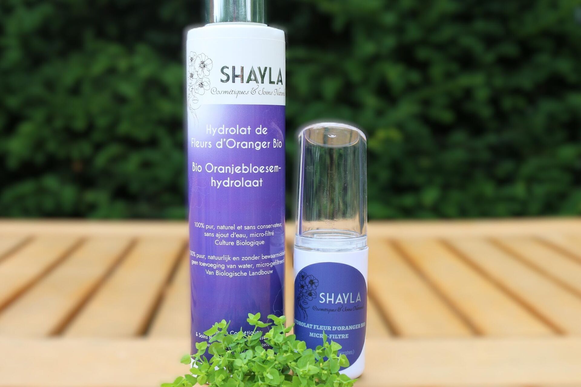 BRUMISATEUR_HYDROLAT-FLEUR-D-ORANGER-BIO-SHAYLA-_-BELGE_2026-02-17-150204_zdne_2026-02-17-150844_zmgg_2026-02-17-151208_wqos_2026-02-17-151410_pbrk_2026-02-17-151834_nwlw_2026-02-17-185425_bvtx_2026-02-17-185532_lpss_2026-02-17-18570_2026-02-18-0_errj