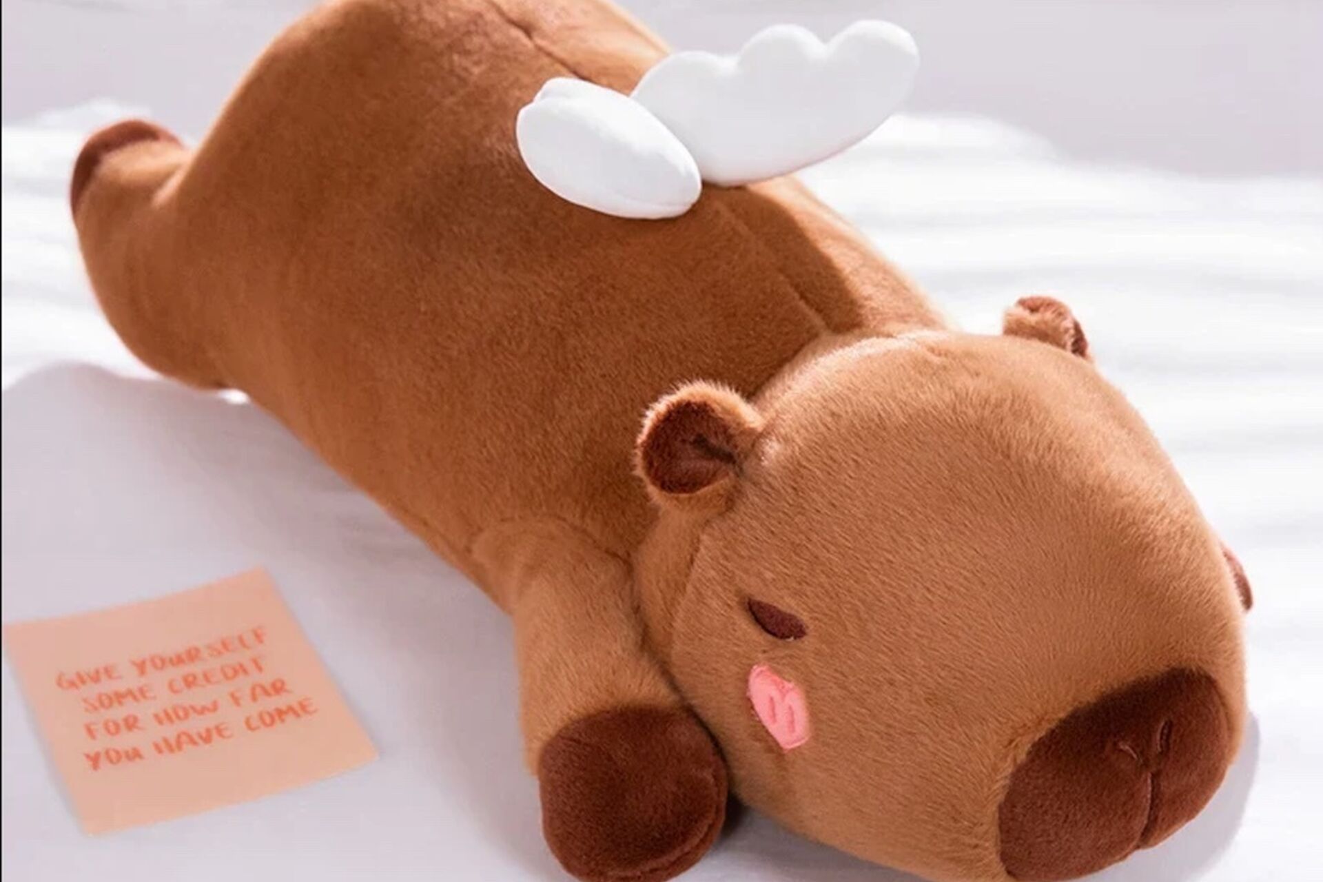 Image-Three-copy_2026-02-19-163714_bwxe