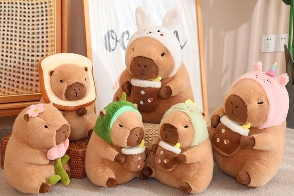 Image-one-copy_2026-02-19-163714_joju