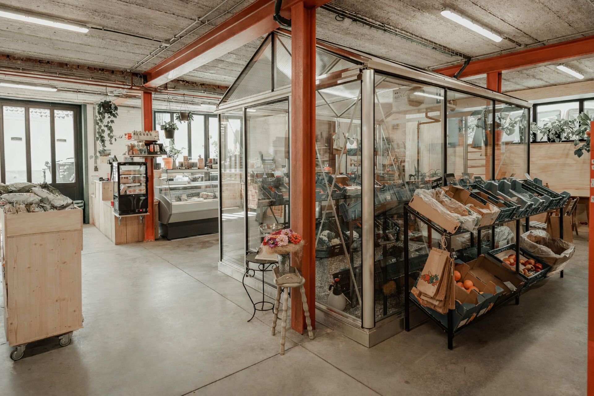 ChatGPT-Image-10-feb-2026-10_50_07_2026-02-13-081625_xtey_2026-02-13-105935_nlpe_2026-02-13-115342_wvwq