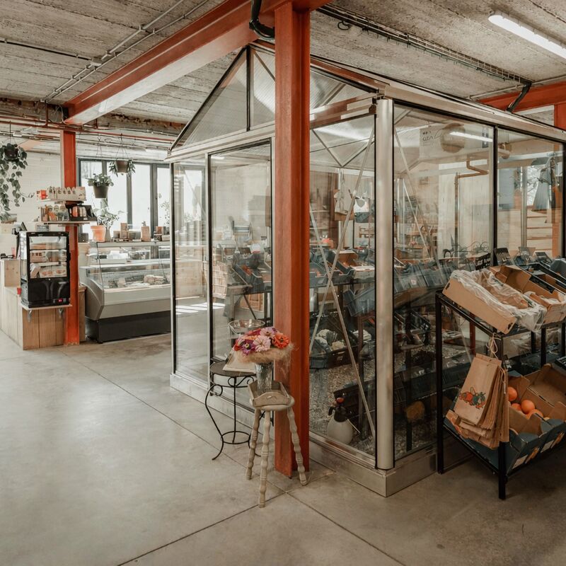 ChatGPT-Image-10-feb-2026-10_50_07_2026-02-13-081625_xtey_2026-02-13-105935_nlpe_2026-02-13-115342_wvwq