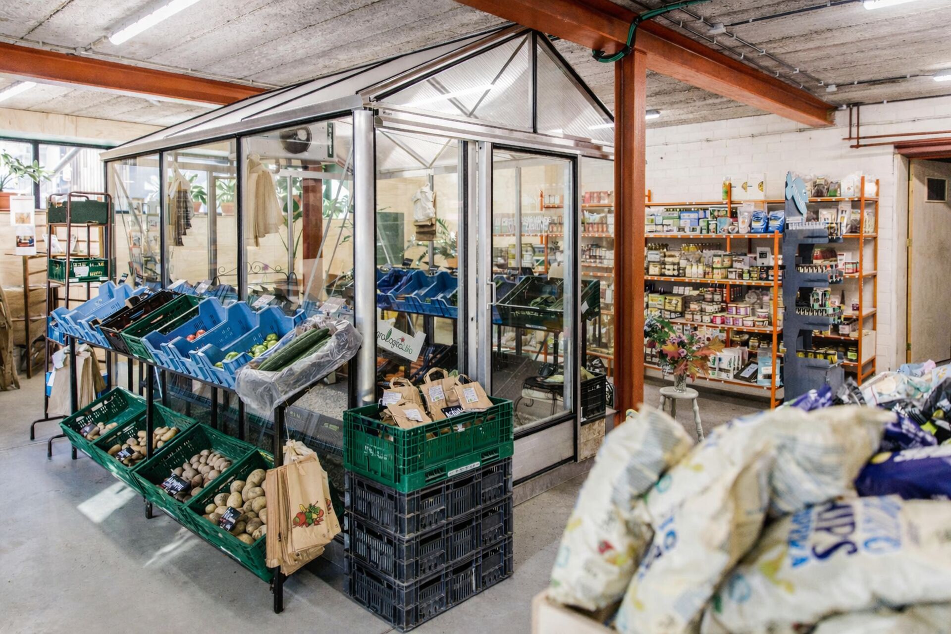 88b4457a-c157-4d74-8bf6-37db849af652_2026-02-13-115342_bebg