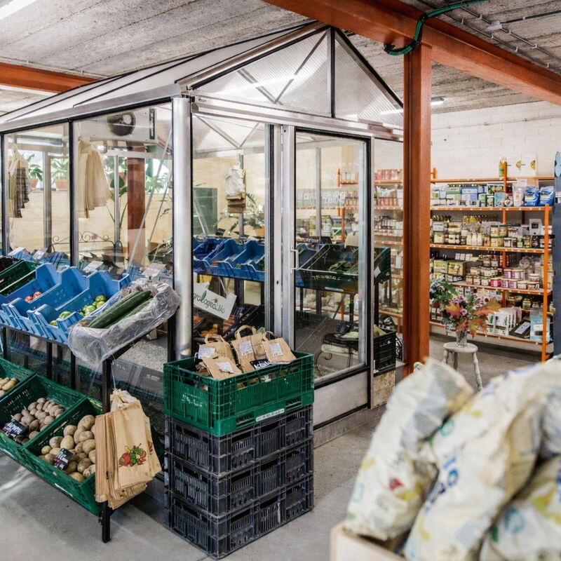 88b4457a-c157-4d74-8bf6-37db849af652_2026-02-13-115342_bebg