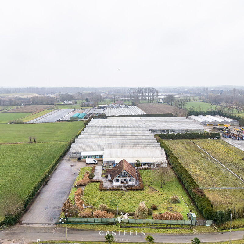 DJI_20260203142406_0503_D